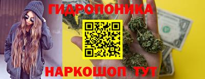 индика Кумертау