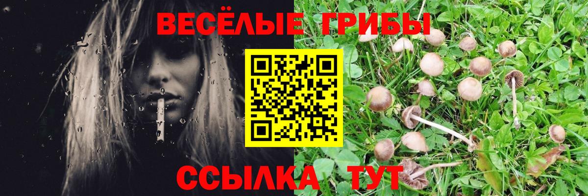 Холмск  Псилоцибиновые грибы GOLDEN TEACHER  цена   Вход с VPN  Галлюциногенные грибы ЛСД 